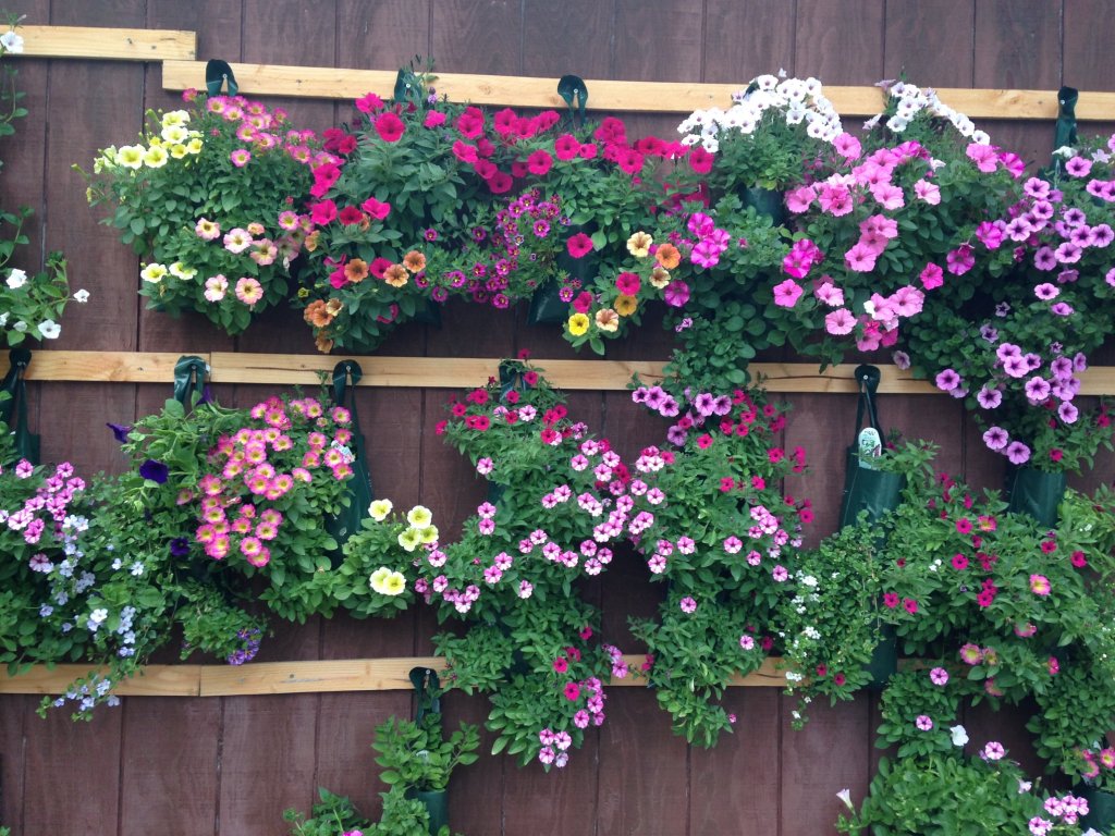 Basket Case Greenhouse Basket Case Greenhouse