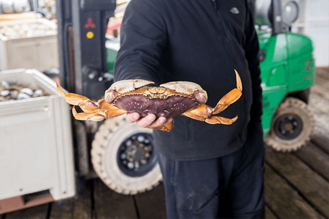 Pacific Northwest Seafood Markets