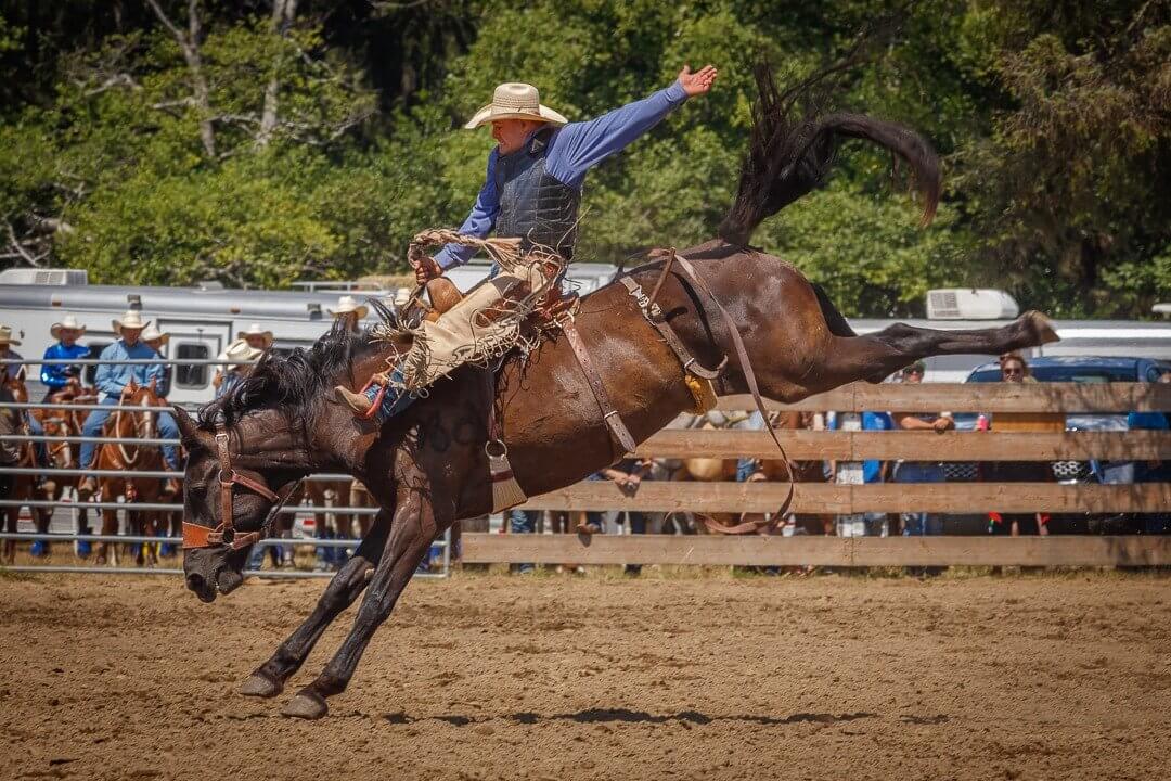 Summertime Rodeo Summertime in Pacific County