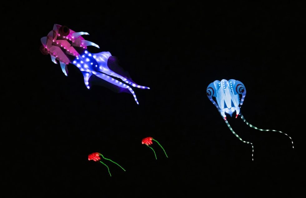 Kite Festival 2024 Long Beach Kite Festival In Washington kite-festival-2024-long-beach-kite-festival-in-washington