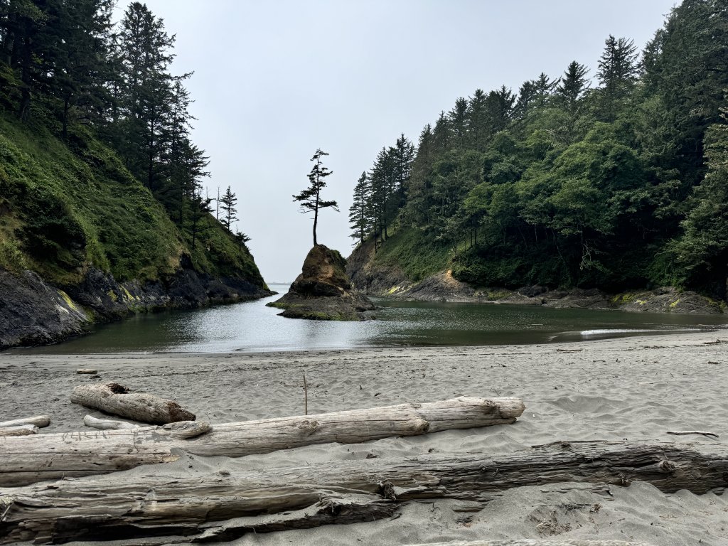 Cape Disappointment State Park: Visitor Guide