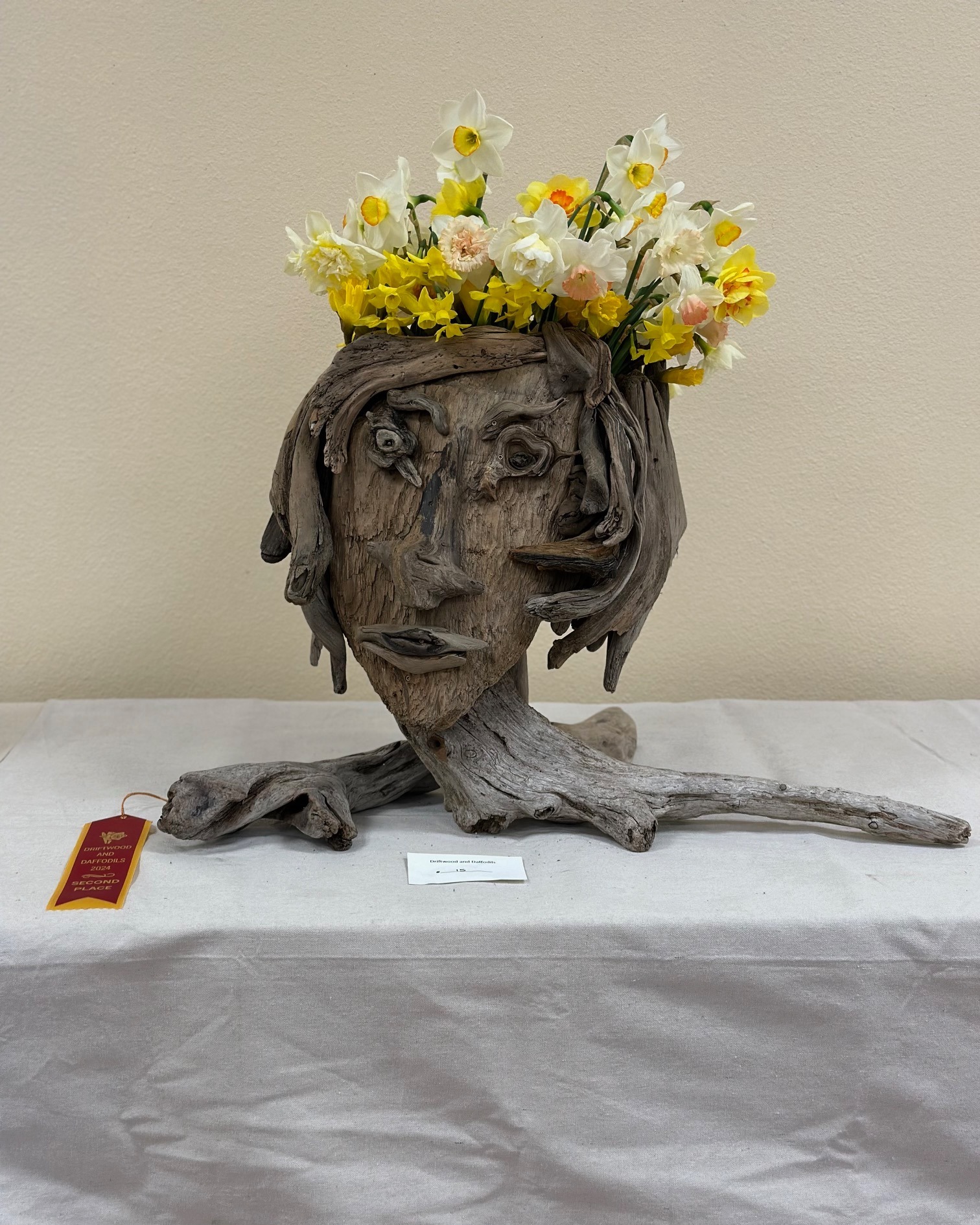 Driftwood & Daffodils