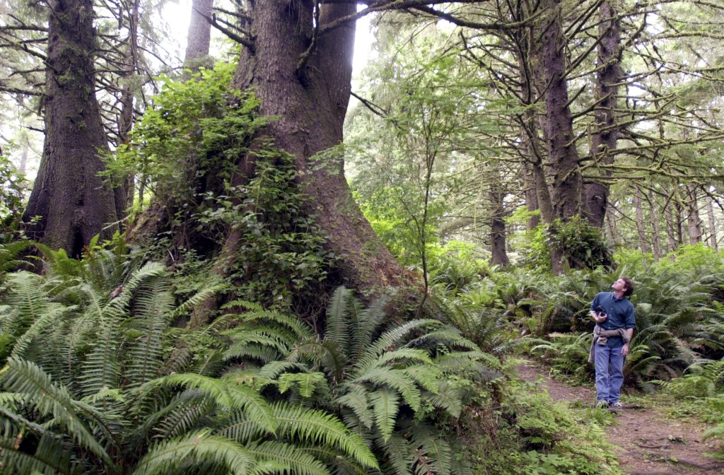 Bear Safety on Washington’s Evergreen Coast Bear Safety on Washington’s Evergreen Coast