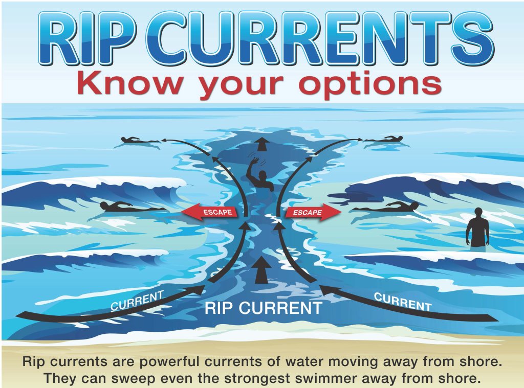 Rip Current Safety on Washington’s Evergreen Coast: What Every Beachgoer Should Know Rip Current Safety on Washington’s Evergreen Coast: What Every Beachgoer Should Know