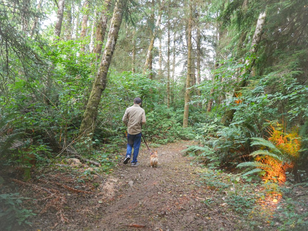 Bear Safety on Washington’s Evergreen Coast Bear Safety on Washington’s Evergreen Coast