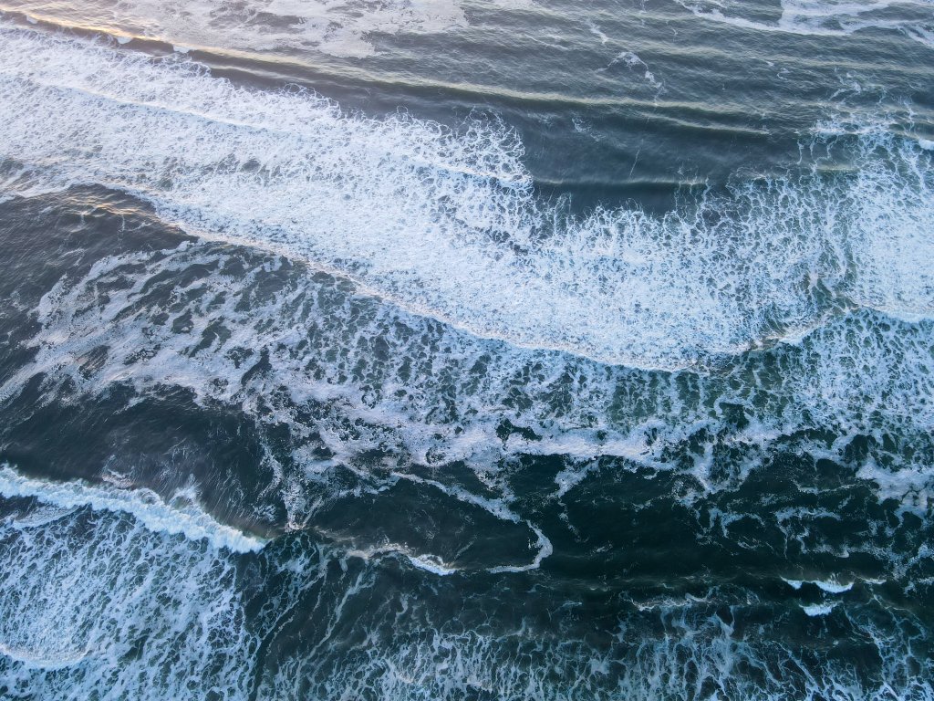 Rip Current Safety on Washington’s Evergreen Coast: What Every Beachgoer Should Know Rip Current Safety on Washington’s Evergreen Coast: What Every Beachgoer Should Know
