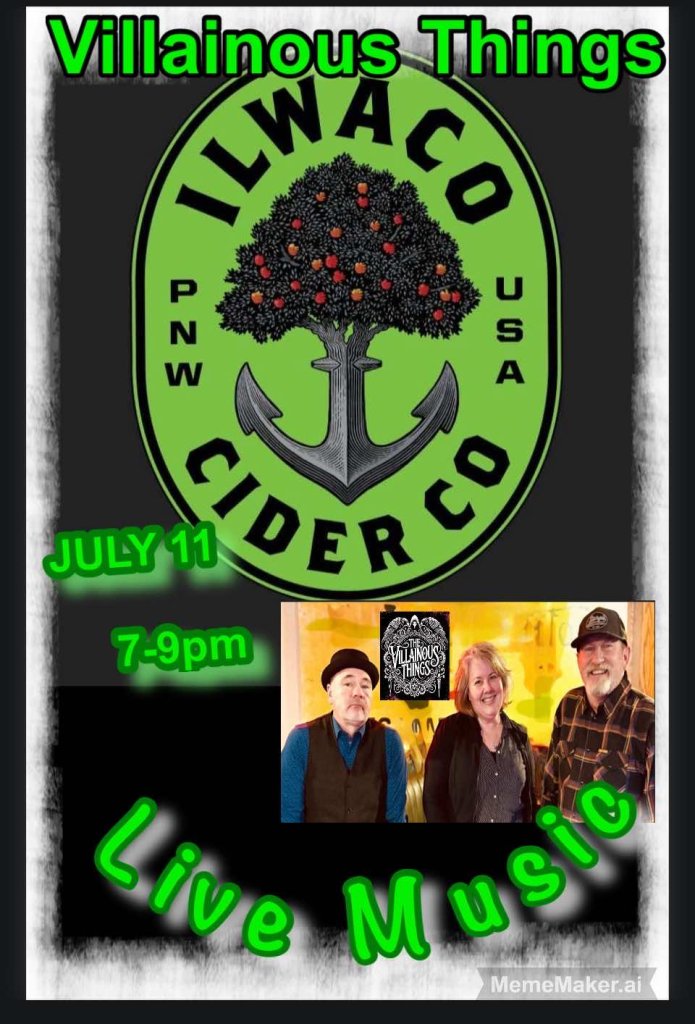 Live Music with The Villainous Things