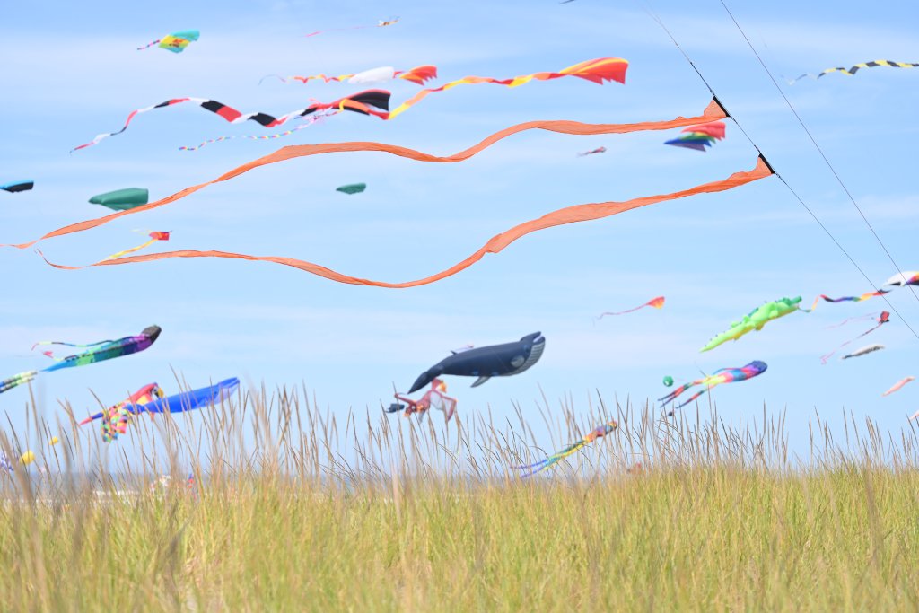 Festivals & Events