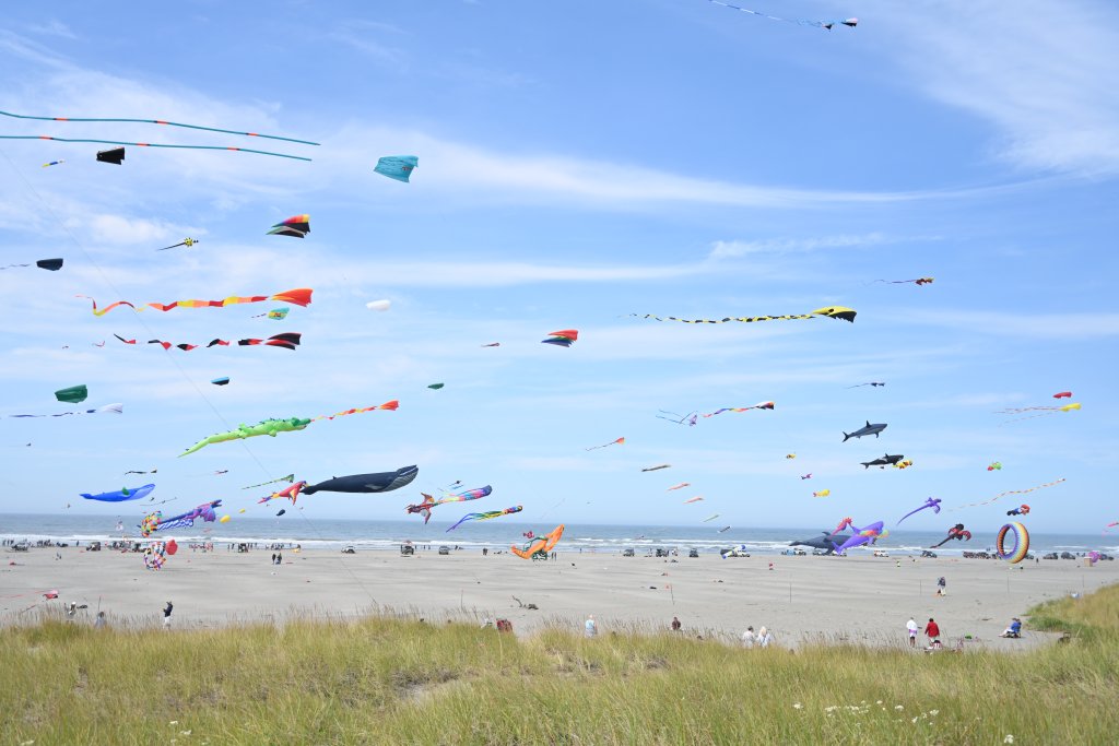 Festivals & Events