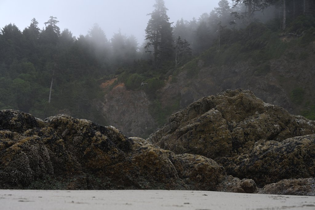 The History Behind Cape Disappointment and Coastal Place Names on Washington’s Evergreen Coast The History Behind Cape Disappointment and Coastal Place Names on Washington’s Evergreen Coast