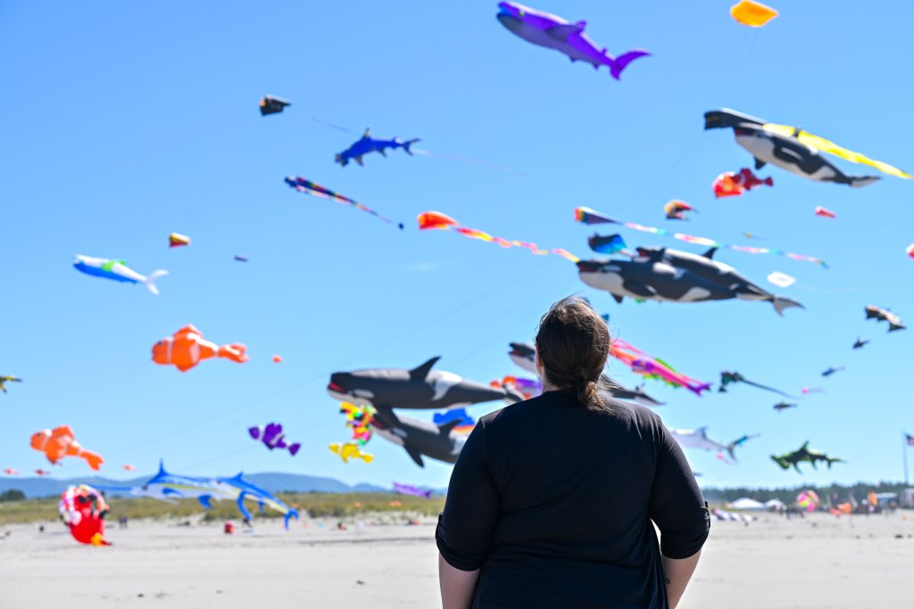 Washington's Evergreen Coast Kite Festival