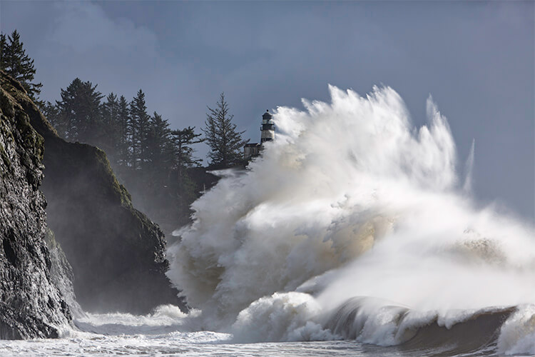 Witness the Power of the Pacific: King Tides on Washington’s Evergreen Coast