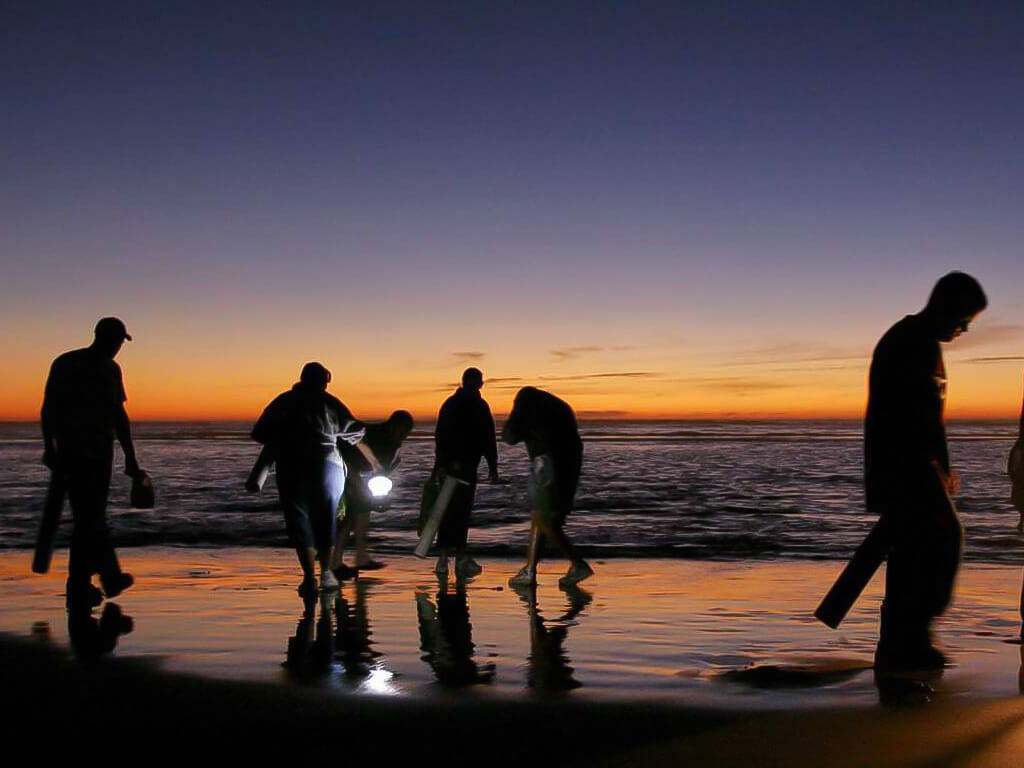 Holidays at the Beach: Winter Magic on Washington’s Evergreen Coast
