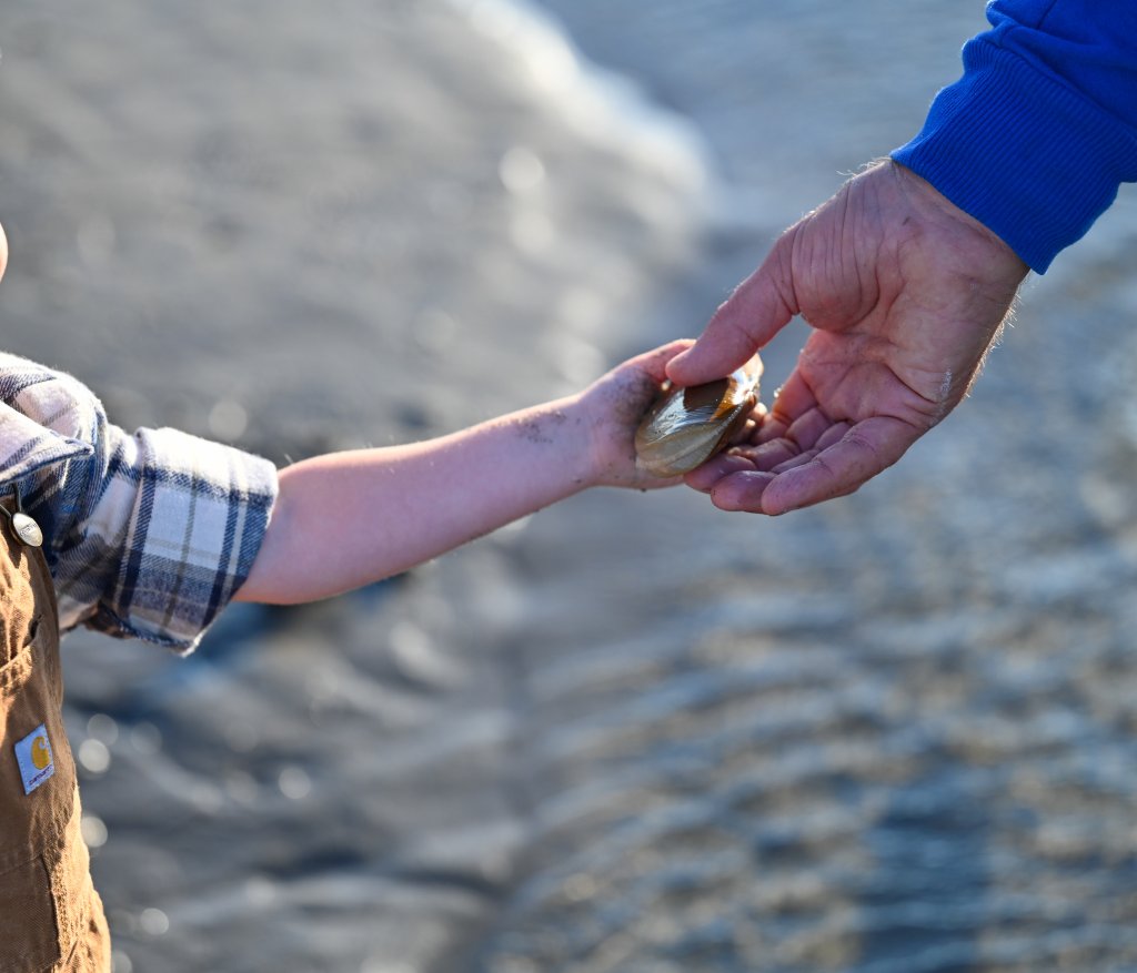 Razor Clam Digging on Washington’s Evergreen Coast Razor Clam Digging on Washington’s Evergreen Coast