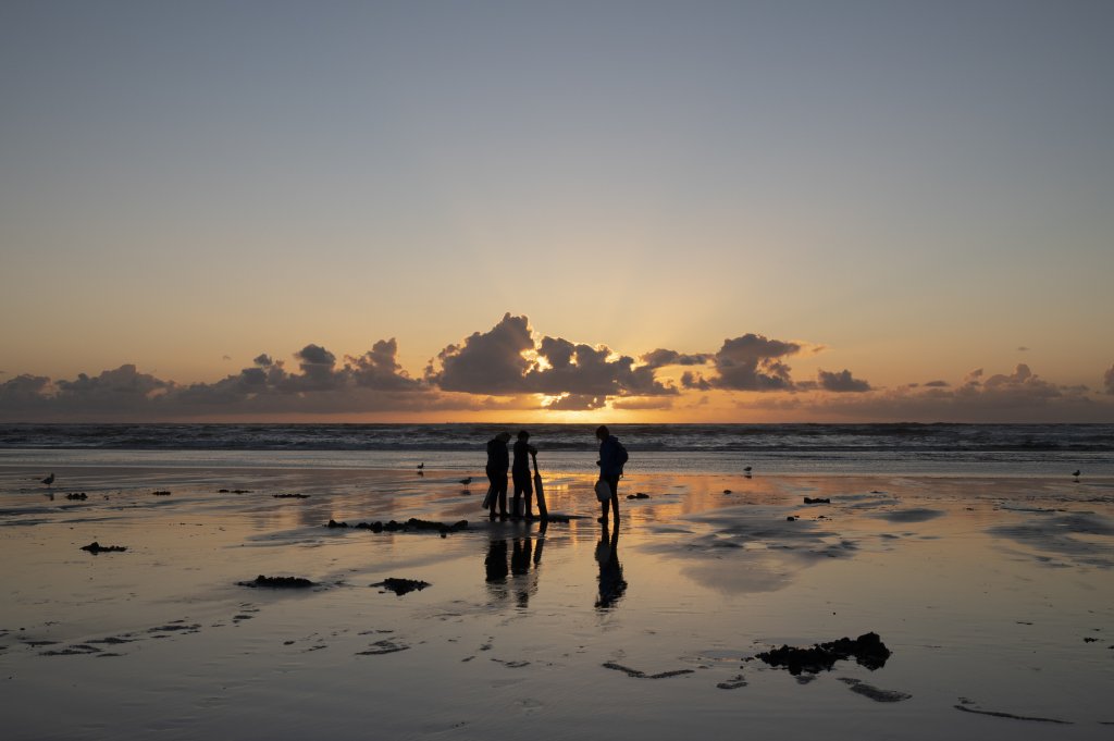 Razor clam digging