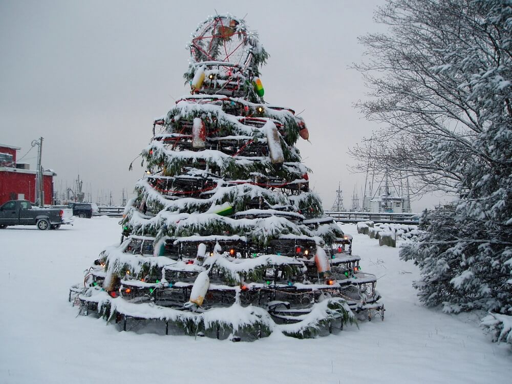 Holidays at the Beach: Winter Magic on Washington’s Evergreen Coast