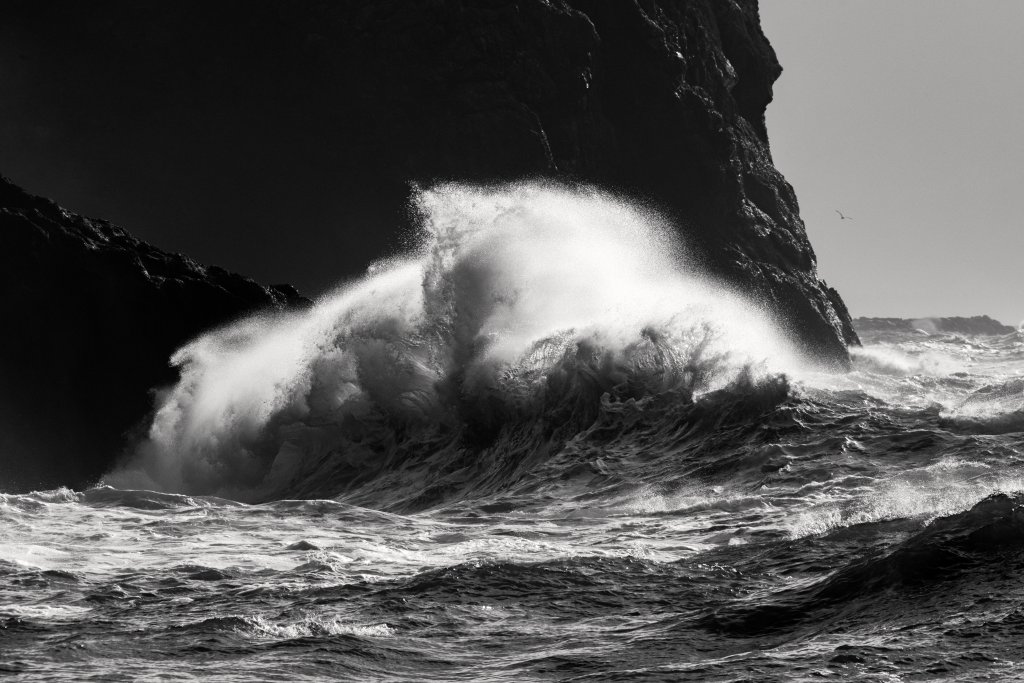 Witness the Power of the Pacific: King Tides on Washington’s Evergreen Coast