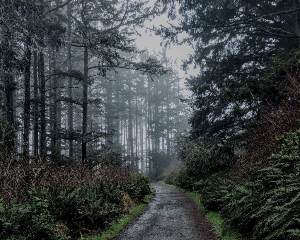 Why Winter is the Best Time to Visit Washington’s Evergreen Coast