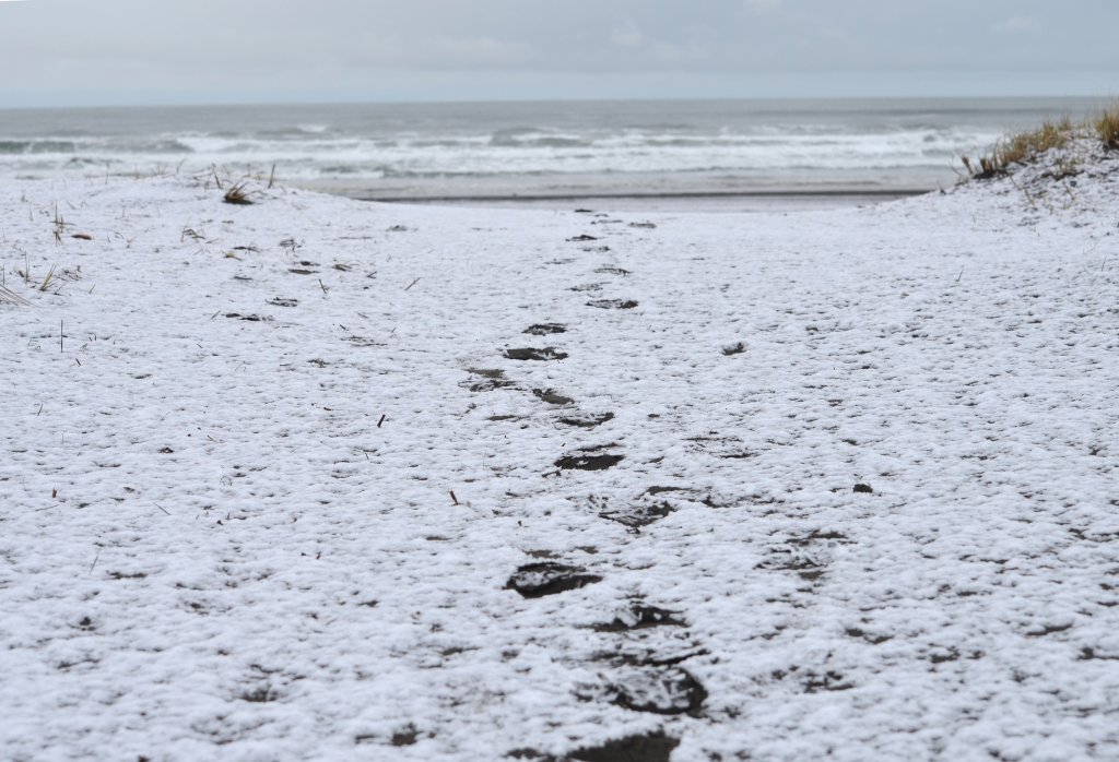 Why Winter is the Best Time to Visit Washington’s Evergreen Coast Why Winter is the Best Time to Visit Washington’s Evergreen Coast