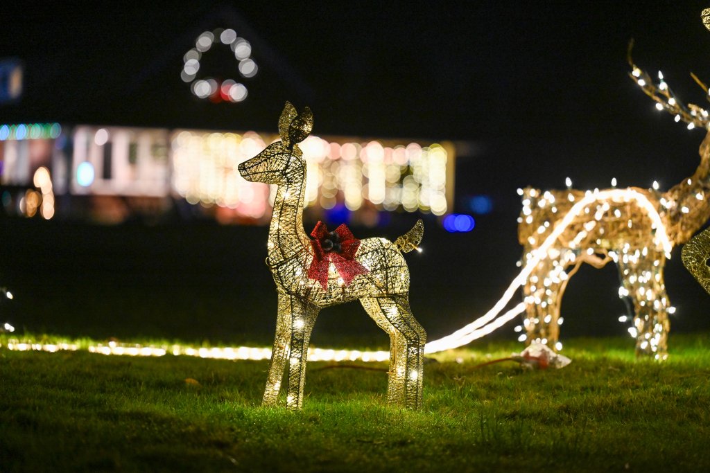 Beach Lights: A New Winter Tradition on Washington’s Evergreen Coast