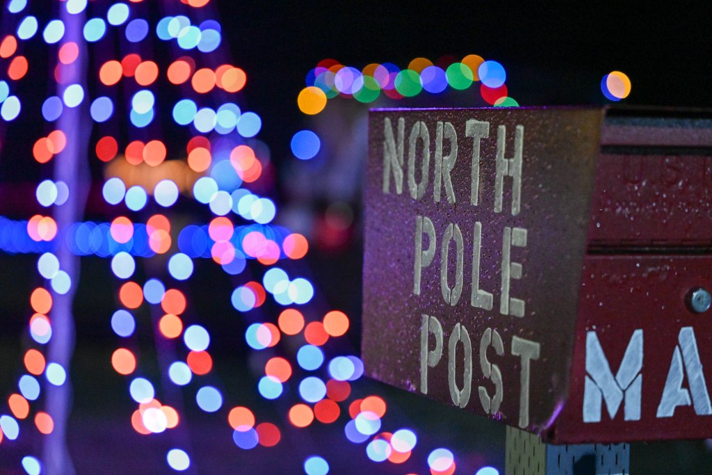 Beach Lights: A New Winter Tradition on Washington’s Evergreen Coast