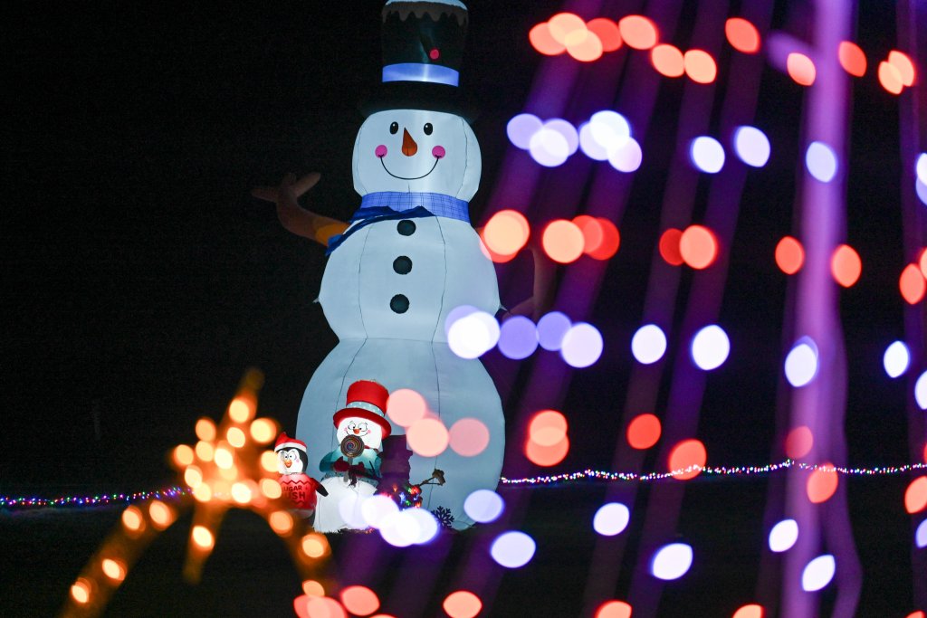 Beach Lights: A New Winter Tradition on Washington’s Evergreen Coast