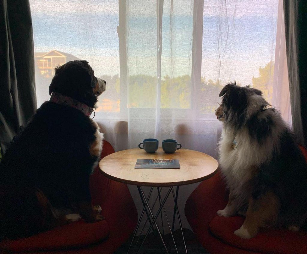 Why Winter is the Best Time to Visit Washington’s Evergreen Coast Why Winter is the Best Time to Visit Washington’s Evergreen Coast