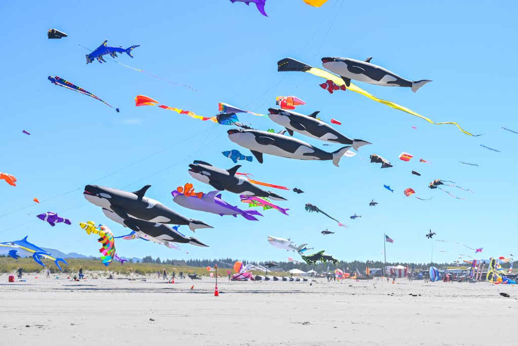 Washington State International Kite Festival