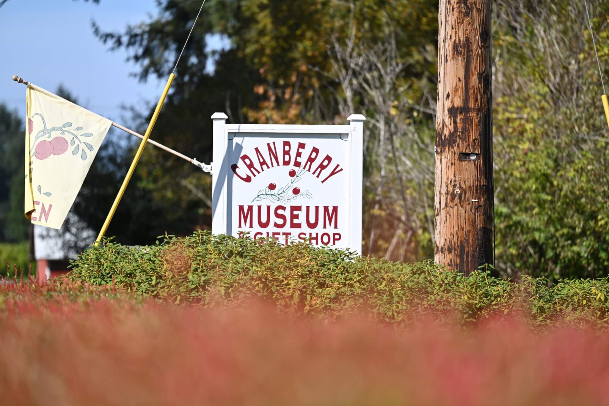 Museum Month 2026 on Washington’s Evergreen Coast