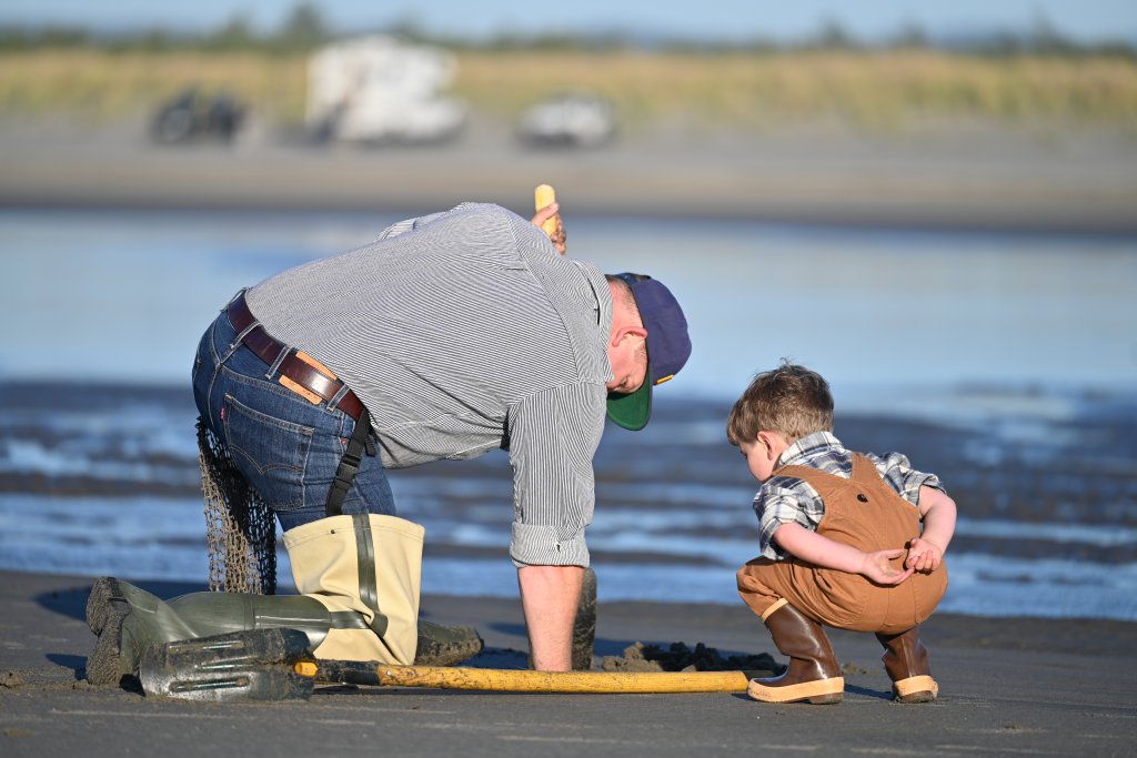 clam digging on washington's evergreen coast