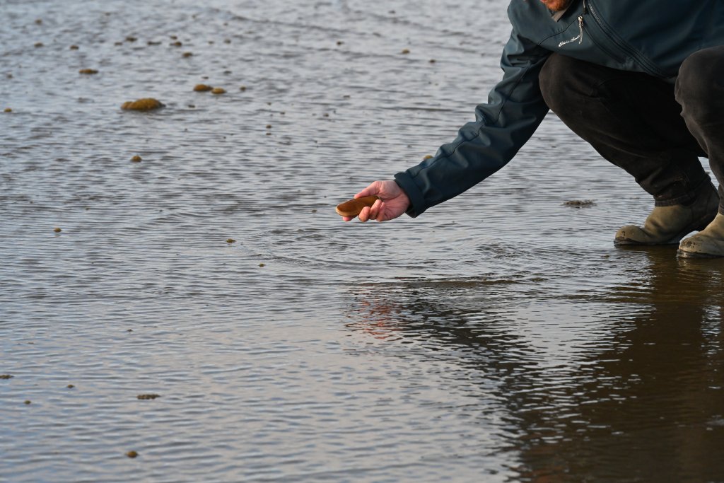 Tentative Razor Clam Digs