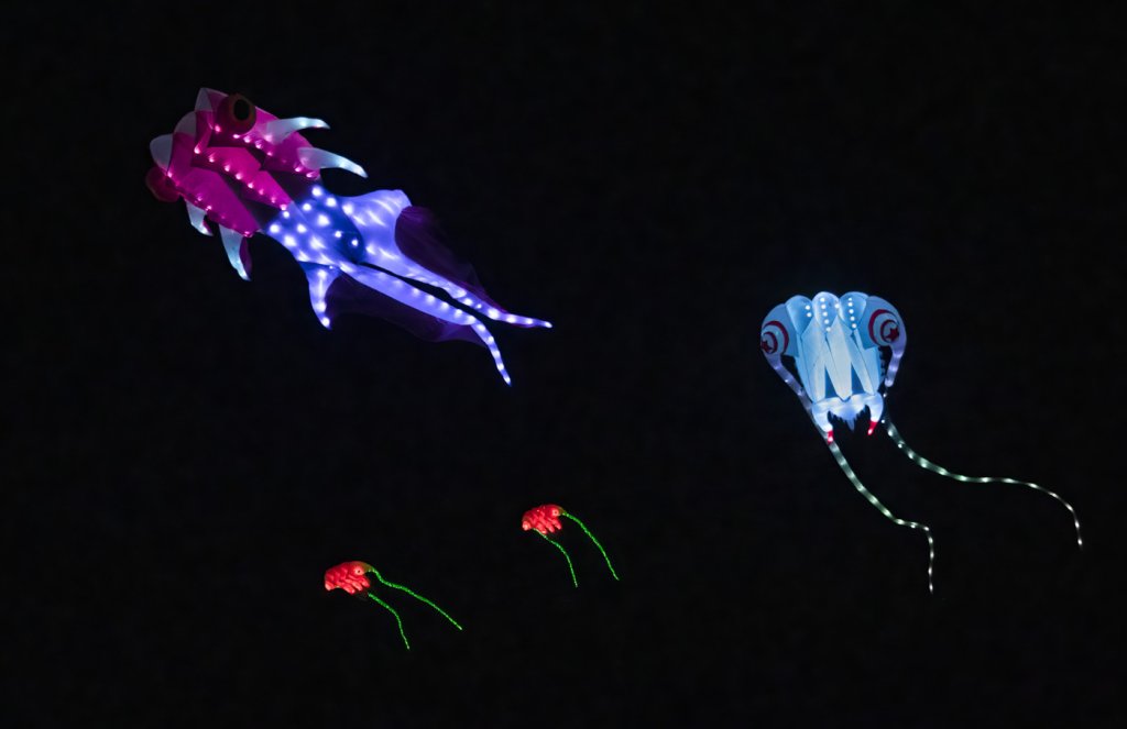 The Kite Festival at Washington’s Evergreen Coast