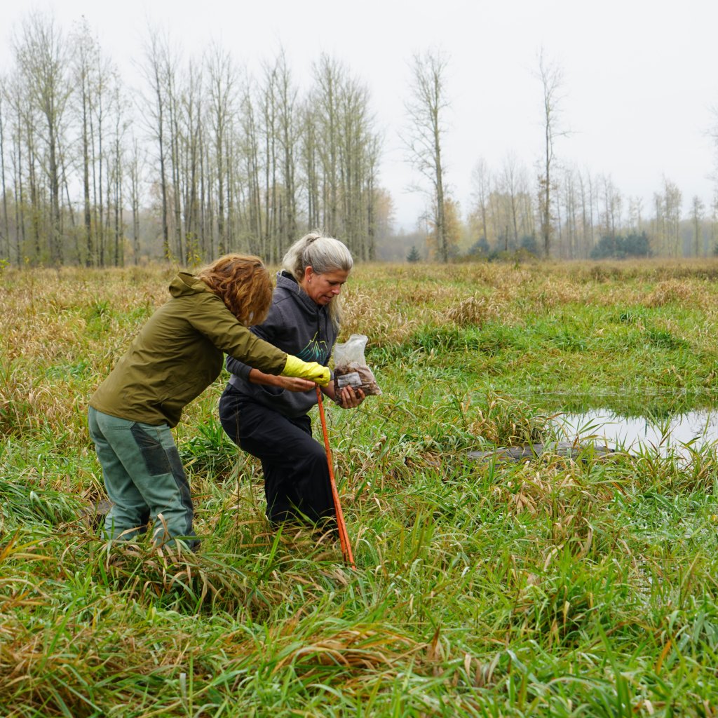 Volunteer Land Tending at Raistakka