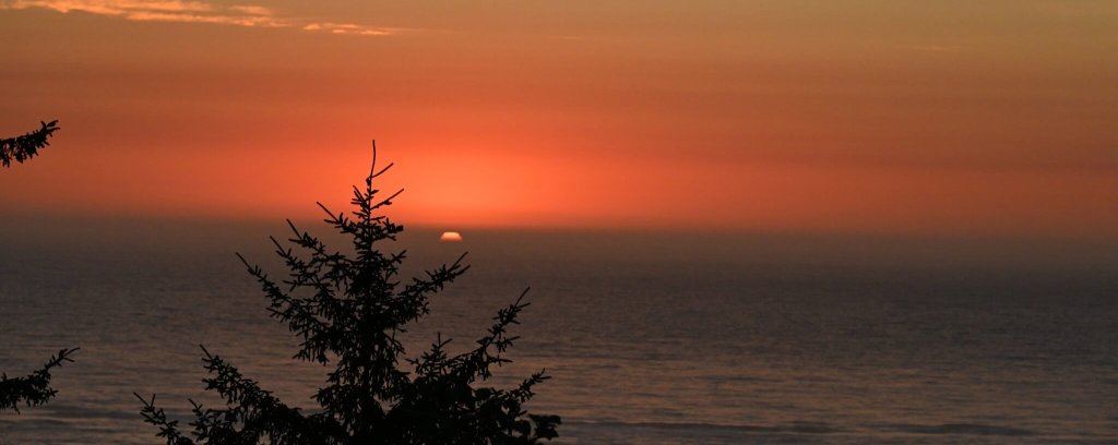 Accessible Adventures on Washington’s Evergreen Coast | Accessible Travel Guide