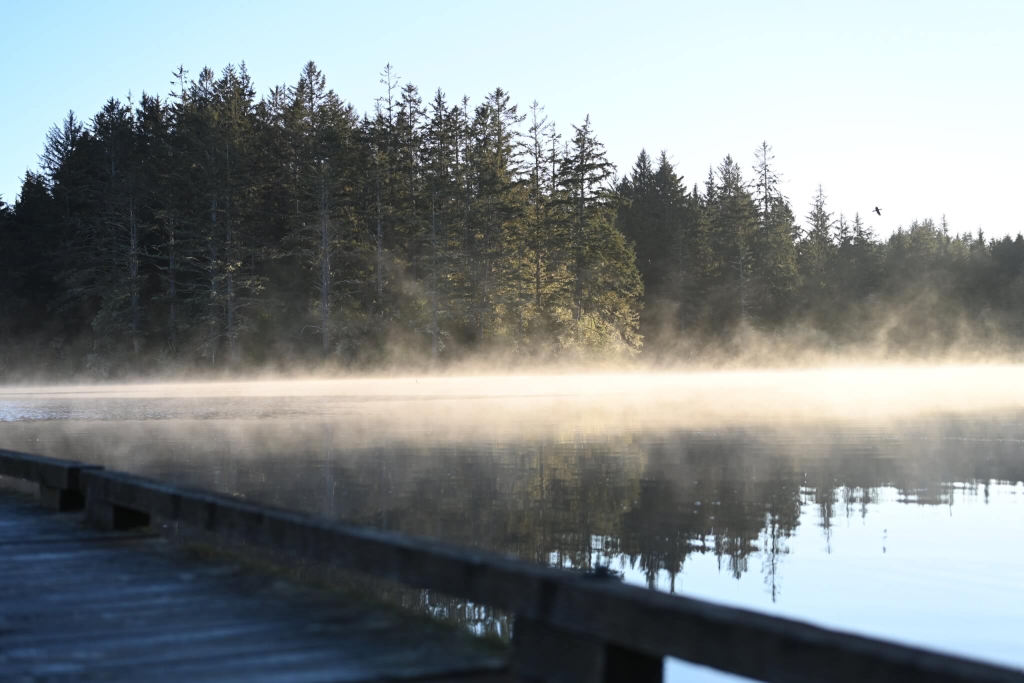 Kayaking Through Willapa Bay: A Different Side of Washington’s Evergreen Coast