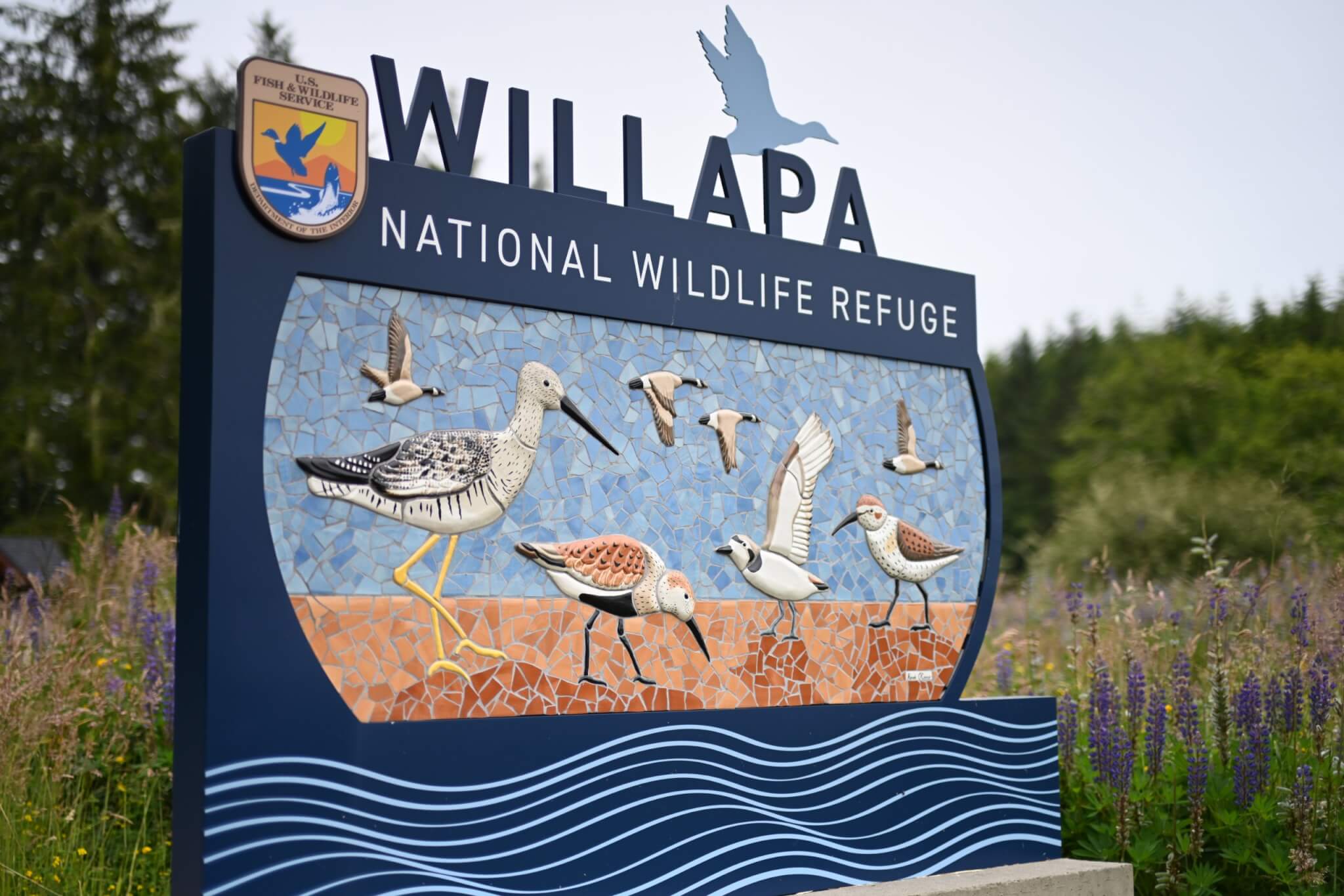 Kayaking Through Willapa Bay: A Different Side of Washington’s Evergreen Coast