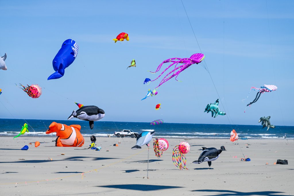 Kite Festival on the Evergreen Coast