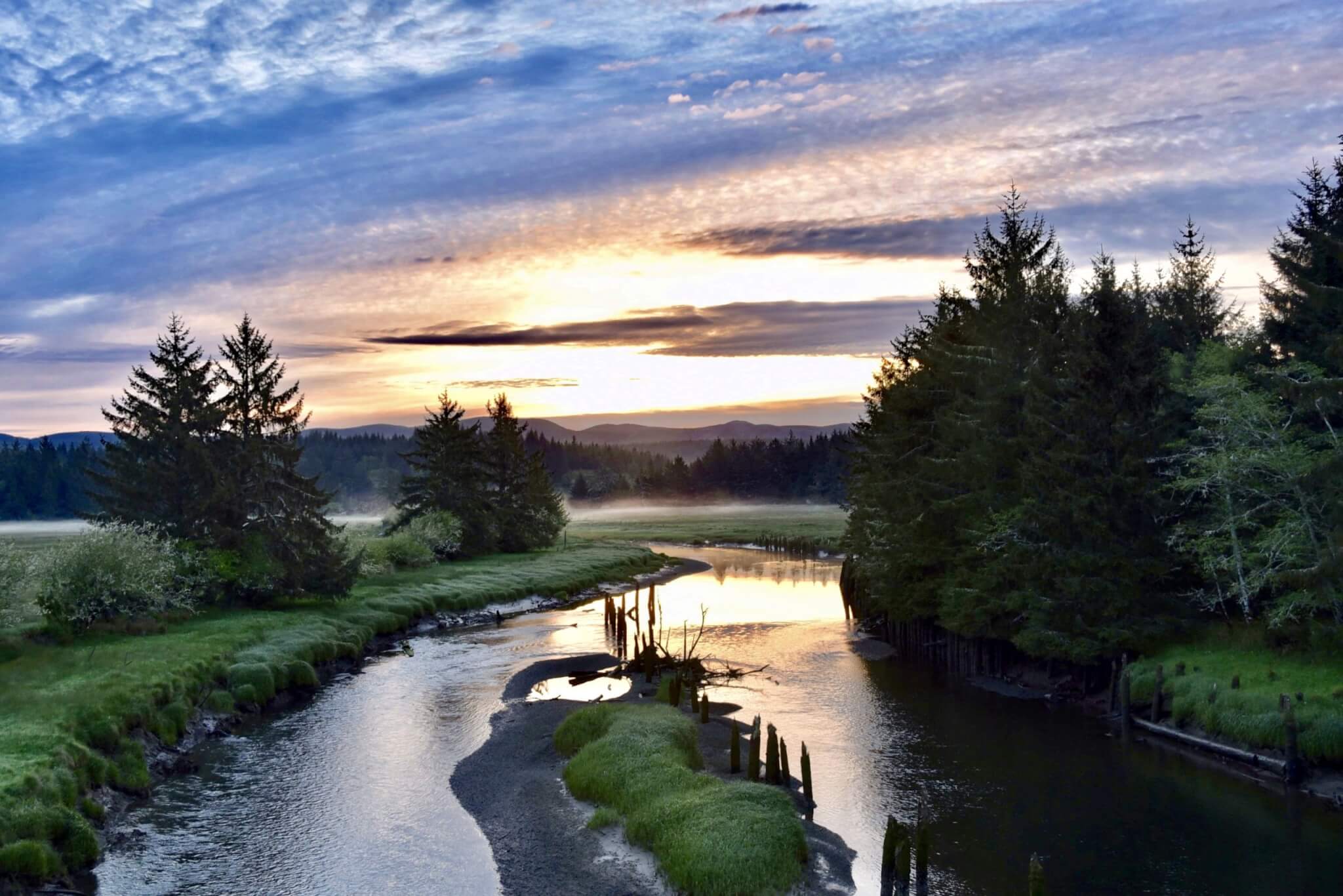 Kayaking Through Willapa Bay: A Different Side of Washington’s Evergreen Coast