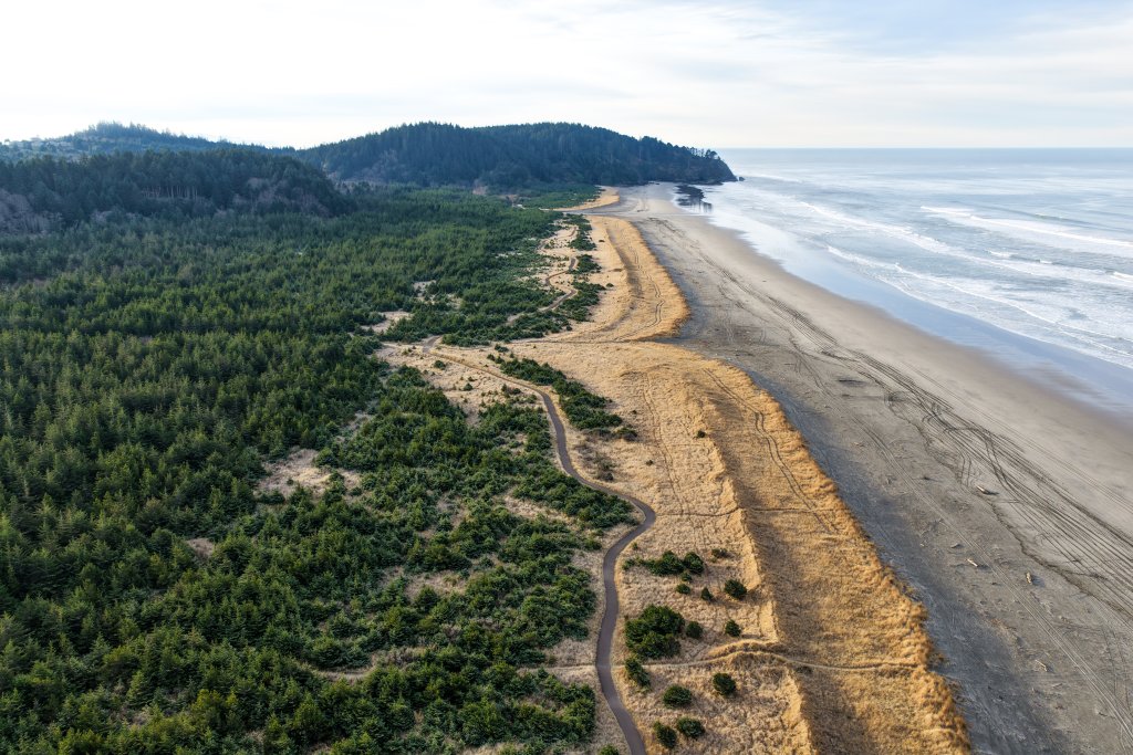 Accessible Adventures on Washington’s Evergreen Coast | Accessible Travel Guide
