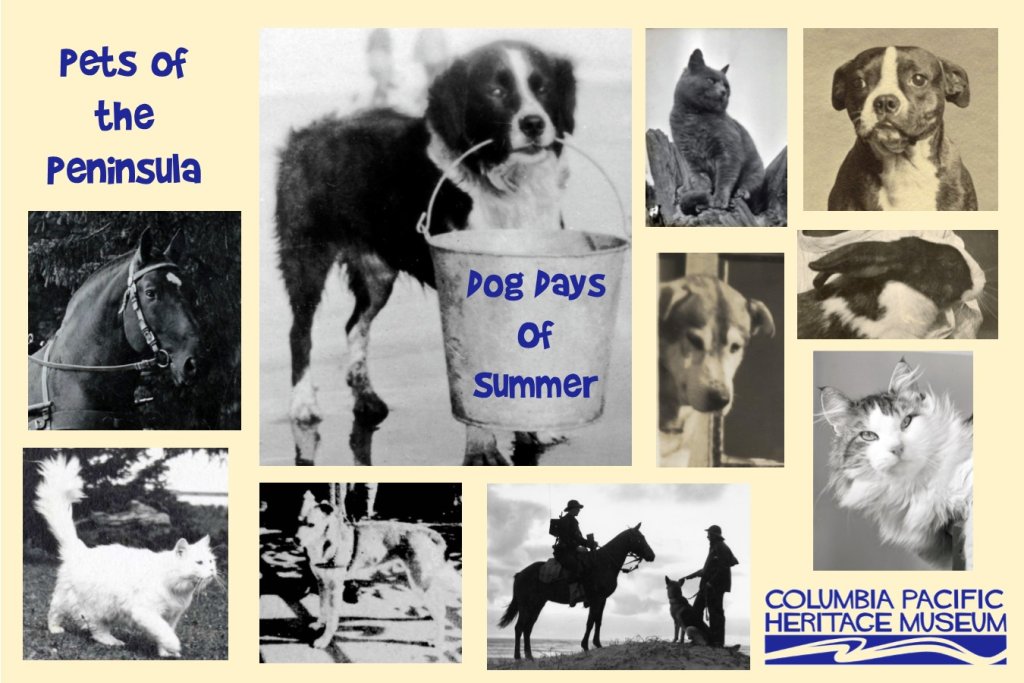 Exhibition: The Dog Days of Summer, Pets of the Peninsula
