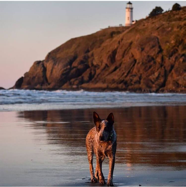 Late Summer Getaway on Washington’s Evergreen Coast