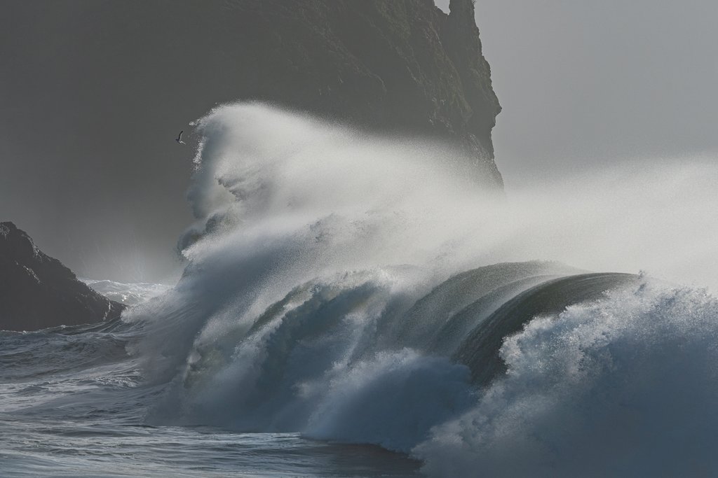 Follow the Tide: What King Tides Reveal About Washington’s Evergreen Coast Follow the Tide: What King Tides Reveal About Washington’s Evergreen Coast