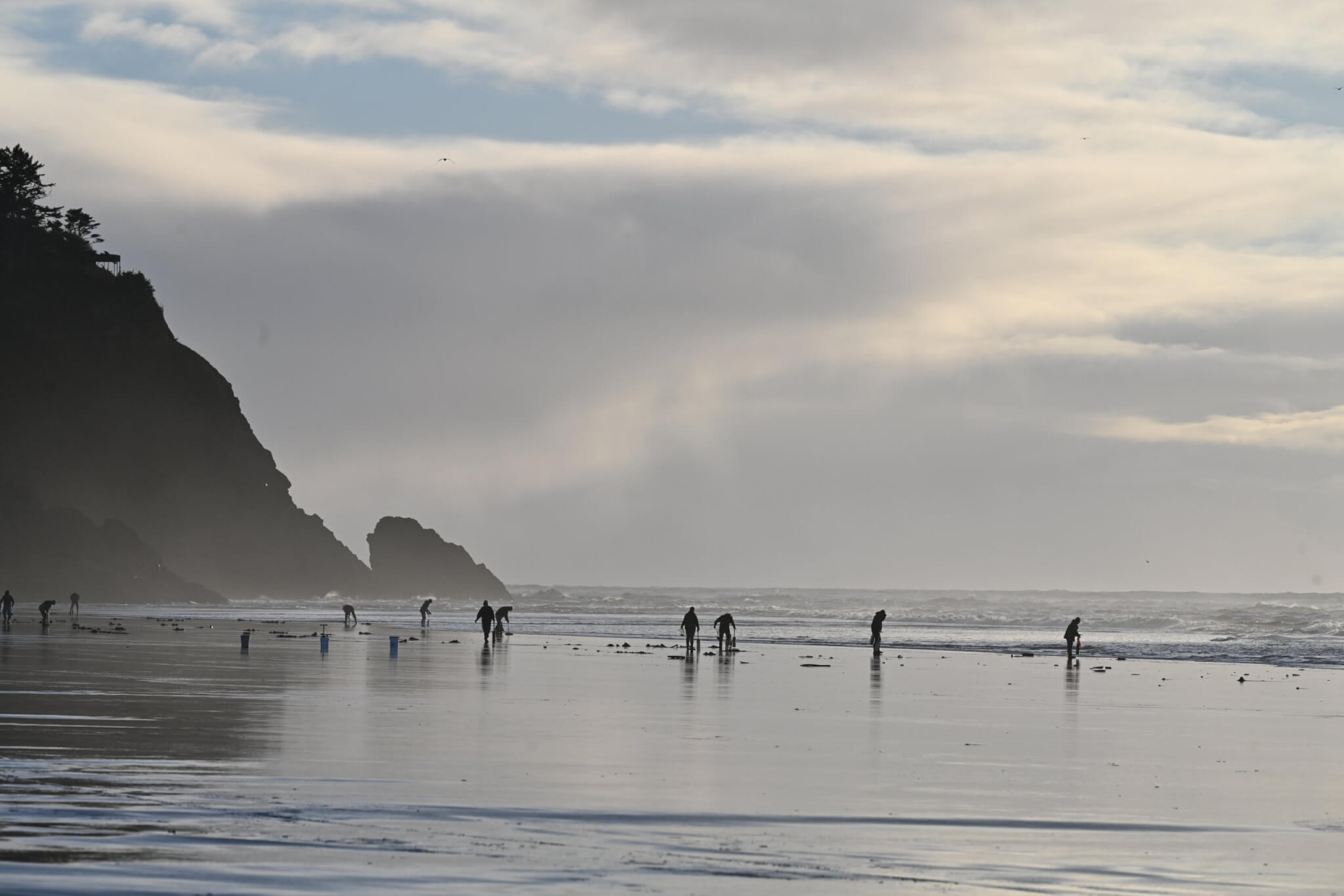 Chasing the Tide: The Thrill of a Razor Clam Dig on Washington’s Evergreen Coast Chasing the Tide: The Thrill of a Razor Clam Dig on Washington’s Evergreen Coast
