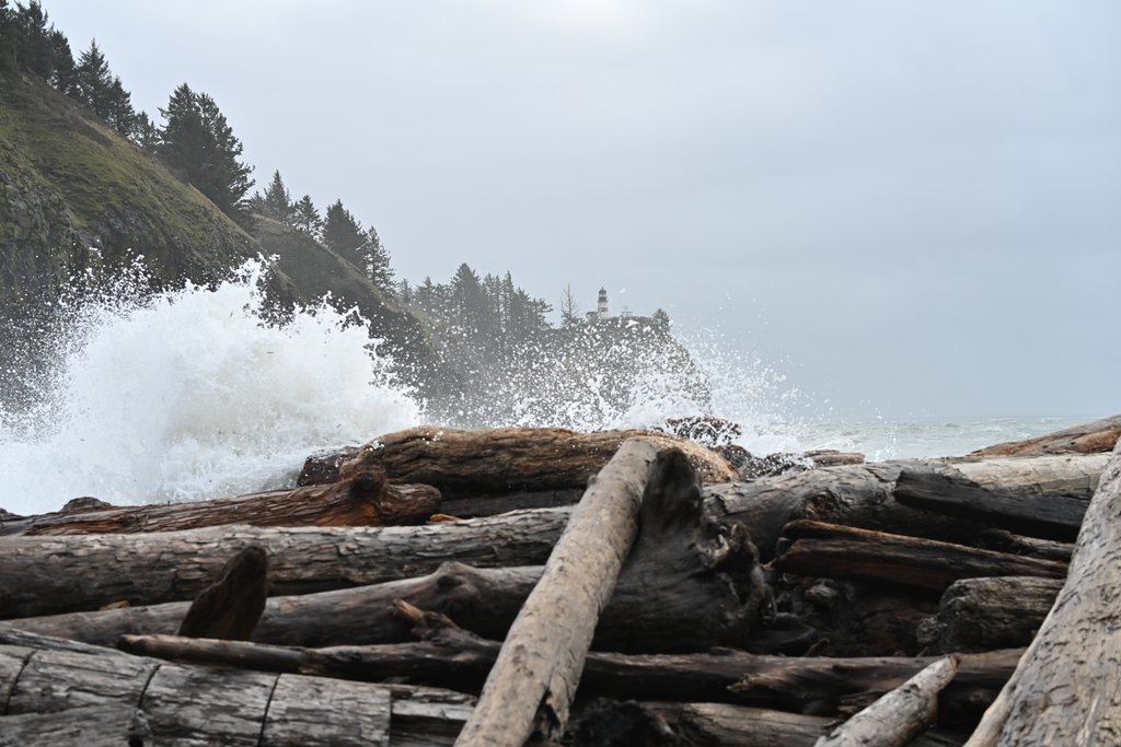 Follow the Tide: What King Tides Reveal About Washington’s Evergreen Coast Follow the Tide: What King Tides Reveal About Washington’s Evergreen Coast