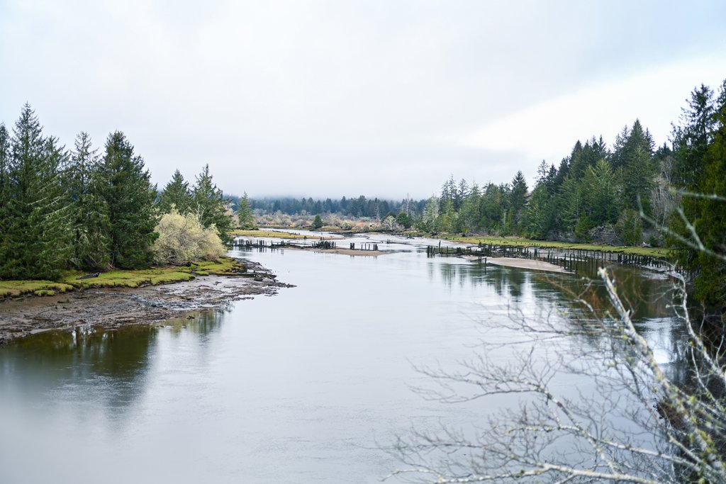 Follow the Tide: What King Tides Reveal About Washington’s Evergreen Coast Follow the Tide: What King Tides Reveal About Washington’s Evergreen Coast