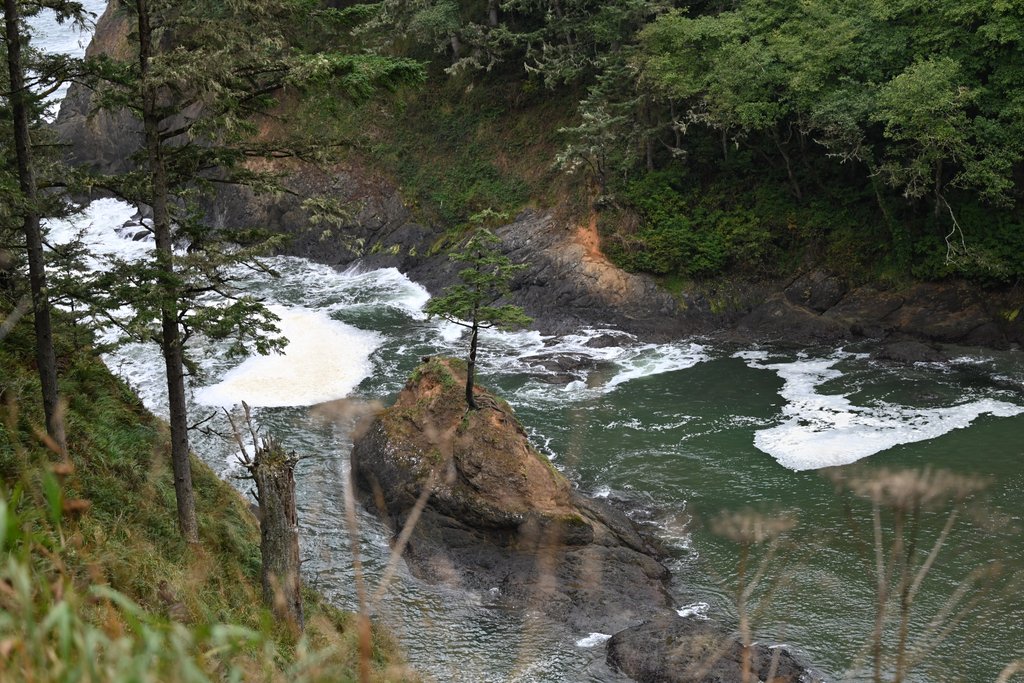 Follow the Tide: What King Tides Reveal About Washington’s Evergreen Coast Follow the Tide: What King Tides Reveal About Washington’s Evergreen Coast