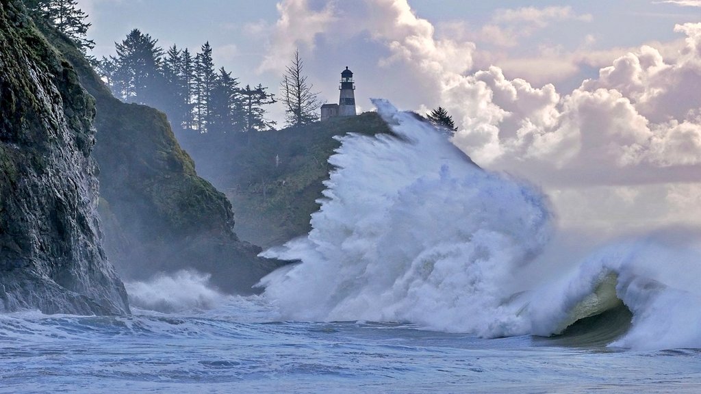 Follow the Tide: What King Tides Reveal About Washington’s Evergreen Coast Follow the Tide: What King Tides Reveal About Washington’s Evergreen Coast