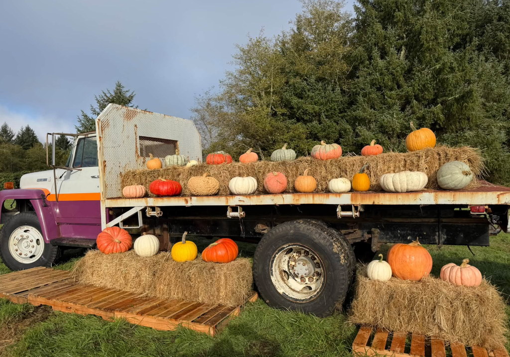 Hauntoween on Washington’s Evergreen Coast: Halloween Events & Fall Fun for 2026 Hauntoween on Washington’s Evergreen Coast: Halloween Events & Fall Fun for 2026